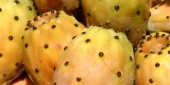 الصبّار أو التين الشوكي