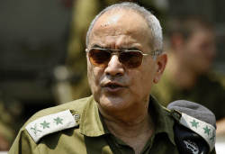 دان حالوتس