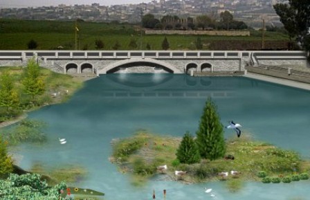 مصور المشروع
