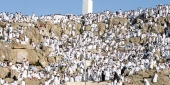 الوقوف بعرفة يوم السبت 5 تشرين الثاني 2011 وعيد الأضحى  في السادس منه