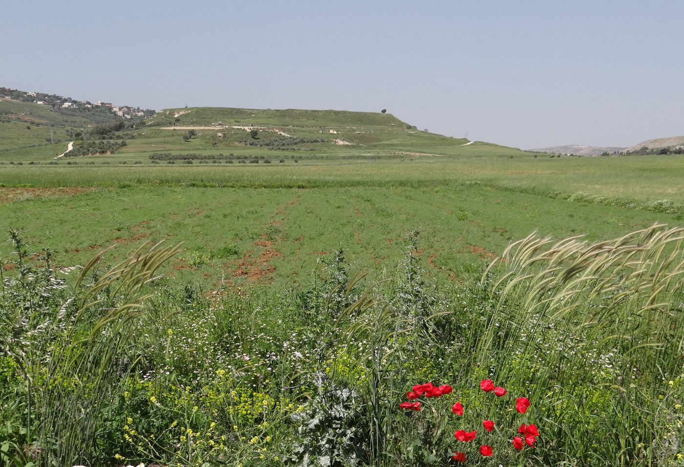 خيام دوت كوم.. بكبسة زر تحلّق فوق الخيام، تجول في شوارعها.. تزور مرجها ودردارتها