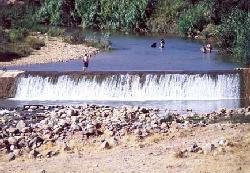شلال  القرشة