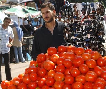 في شارع الرحاب