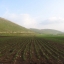 سند التمليك