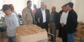 تسليم محاصيل التبغ في الجنوب