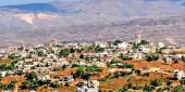 سنديانة الضيعة