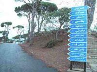 مدخل بلدة بكاسين
