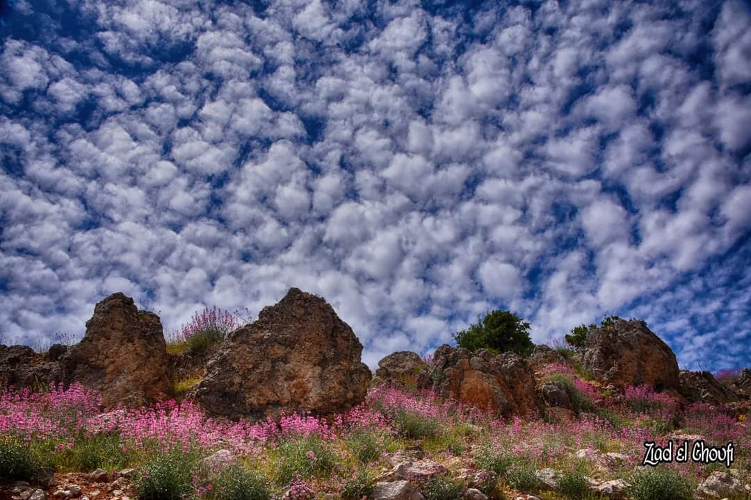 كل الصبايا بغارو مني بس البس فستان الخريف
