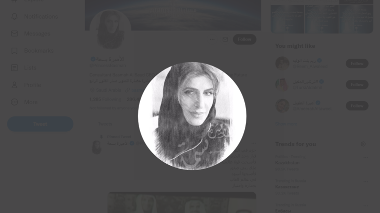 حساب الأميرة السعودية، بسمة بنت سعود بن عبد العزيز، في موقع تويتر