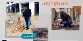 رفيق حسن قاسم بين الحيوانات الشاردة في بلدة عيتا الشعب