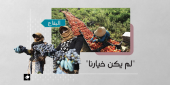 لاجئات سوريات يعملن في قطاع العنب (الصورة من موقع كلام وسلام)