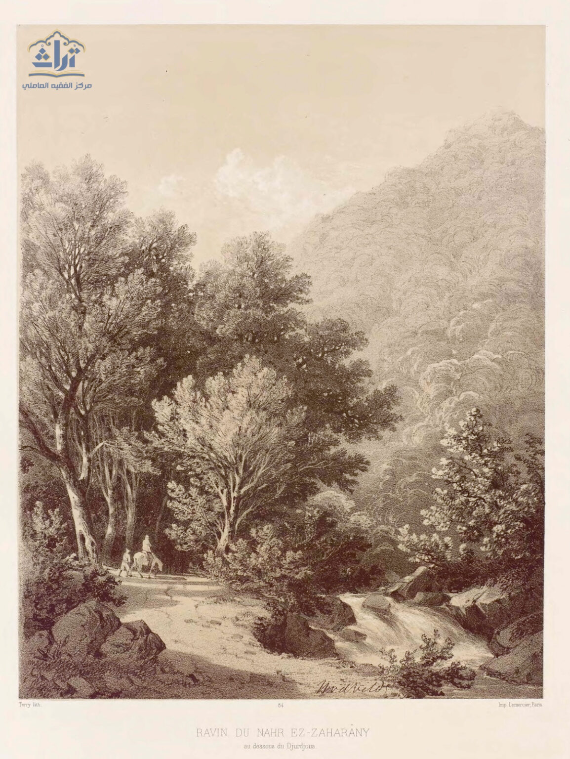 نهر الزهراني