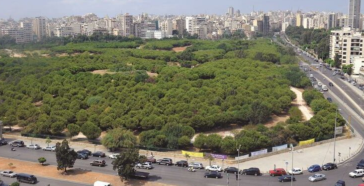 يعتبر حرج بيروت أكبر مساحة شجرية خضراء قديمة في عاصمة لبنان (مواقع التواصل)