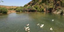 يقول وزير خارجية لبنان السابق عدنان منصور في ما يتعلق بالوزاني والحاصباني لبنان يستخدم أقل من حقه بكثير (اندبندنت عربية)​​​​​​​