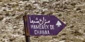 الدكتور علي عواضة