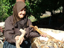 تقطّع الحطب